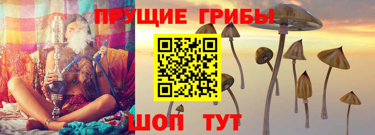 Псилоцибиновые грибы Magic Shrooms  наркошоп  Троицк  Вход с VPN  Галлюциногенные грибы Psilocybine cubensis 
