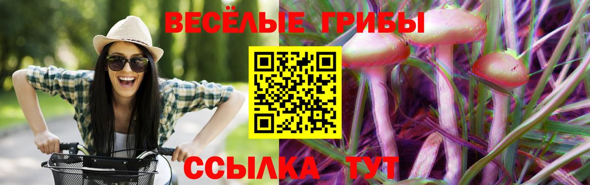 Галлюциногенные грибы ЛСД Троицк